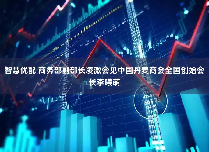 智慧优配 商务部副部长凌激会见中国丹麦商会全国创始会长李曦萌