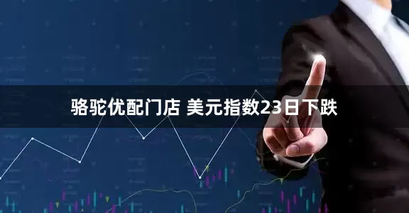 骆驼优配门店 美元指数23日下跌