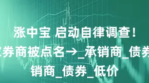涨中宝 启动自律调查！这几家券商被点名→_承销商_债券_低价