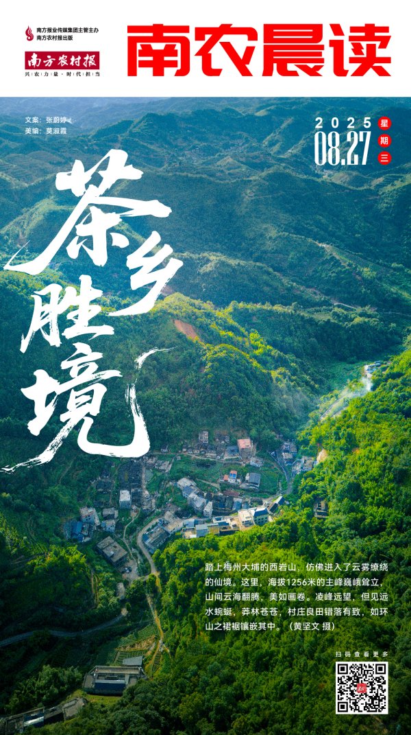 泰兴隆配资 南农晨读丨茶香胜境