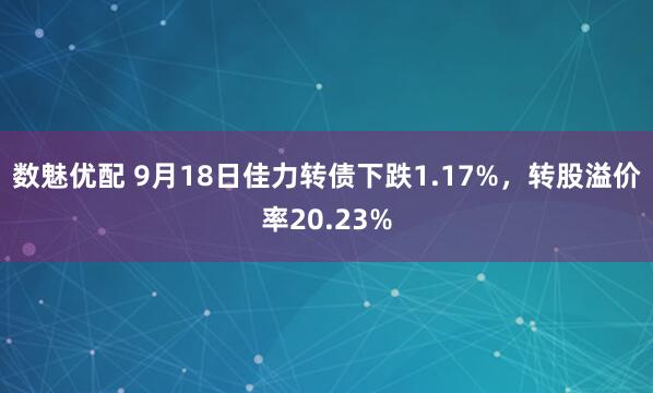 数魅优配 9月18日佳力转债下跌1.17%，转股溢价率20.23%