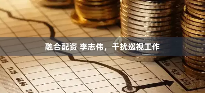 融合配资 李志伟，干扰巡视工作